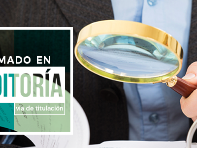 Diplomado en Auditoria